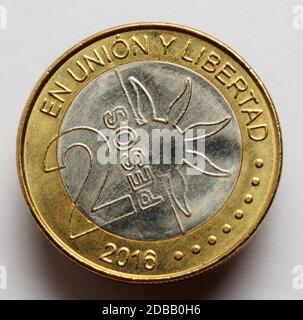 Pièces de pesos argentins Banque D'Images