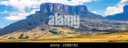 Mount Roraima bannière web, Venezuela, Amérique du Sud. Banque D'Images