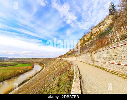 Chemin à travers les vignobles près des rochers de l'Hessigheimer Felsengaerten avec rivière Neckar en arrière-plan Banque D'Images