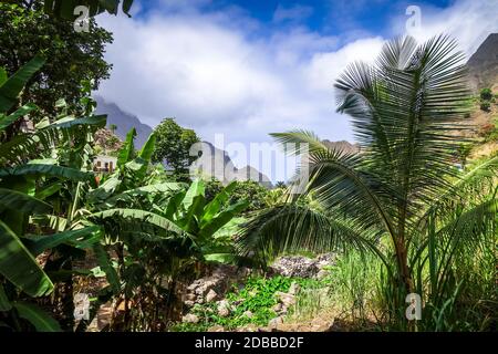 Paul Valley paysage dans l'île de Santo Antao, Cap-Vert, Afrique Banque D'Images