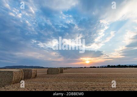 États-Unis, Idaho, Bellevue, balles de foin dans le champ au coucher du soleil Banque D'Images