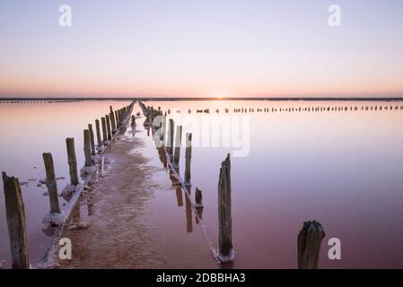 Ukraine, Crimée, poteaux en bois dans le lac salé Banque D'Images