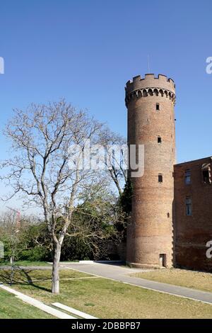 historisches Baudenkmal Kurkölnische Landesburg, Zülpich, Nordrhein-Westfalen, Deutschland Banque D'Images