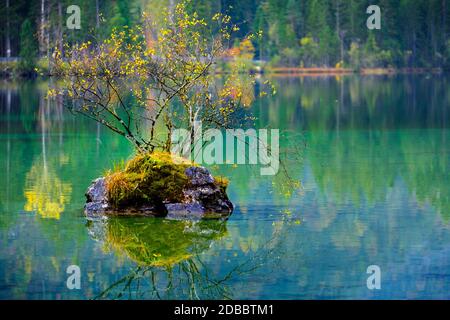 Merveilleux automne sur le lac Hintersee des Alpes bavaroises à la frontière autrichienne, Allemagne, Europe Banque D'Images