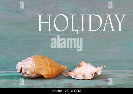 Fond en bois bleu avec deux coquillages de la mer. Photo graphique pour les vacances Banque D'Images
