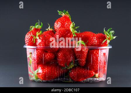 Boîte ou punnet de fraises isolées sur un fond noir de studio Banque D'Images