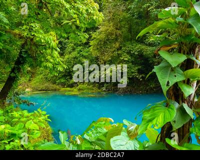 Rio Celeste, parc national du volcan Tenorio, Costa Rica Banque D'Images