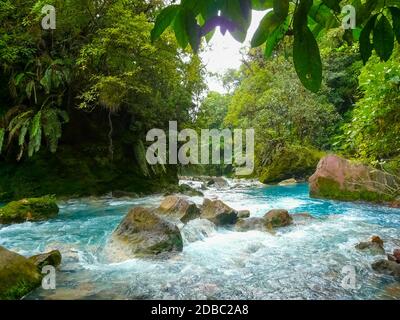 Rio Celeste, parc national du volcan Tenorio, Costa Rica Banque D'Images