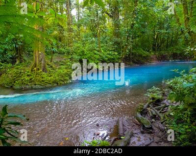 Rio Celeste, parc national du volcan Tenorio, Costa Rica Banque D'Images