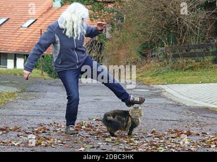 Violence contre les animaux. Une femme veut marcher dans la rue après un chat Banque D'Images