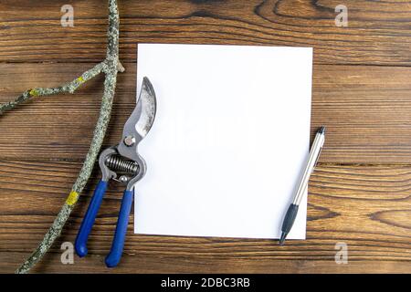 Sécateur bleu avec une branche et une feuille de papier blanche sur fond de bois. Vues de dessus avec espace libre. Banque D'Images