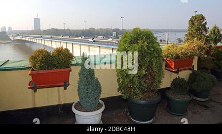 Grande terrasse au toit avec vue sur le pont de Belgrade Banque D'Images