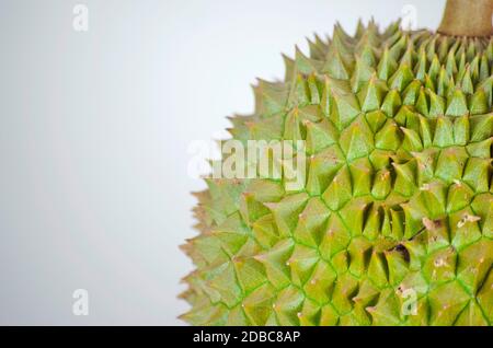 Durian. Le fruit est sucré et a une odeur piquante. Sur fond blanc. Banque D'Images