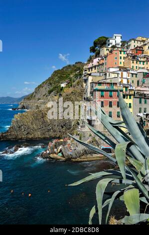 Riomaggiore, Italie - 6 septembre 2011: Riomaggiore - l'une des villes de Cinque Terre en Italie Banque D'Images