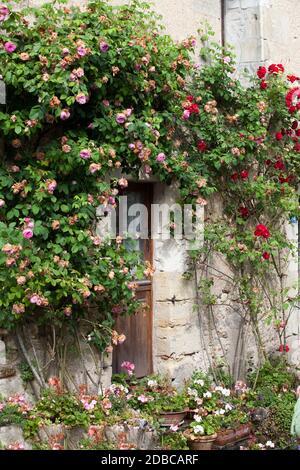 Cottage avec porte autour de roses Banque D'Images