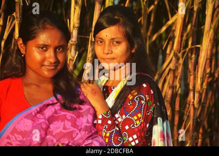 Deux belles adolescentes bengali indiennes portant sari et salwar kameez souriant et posant devant une canne à sucre plantée champ agricole Banque D'Images