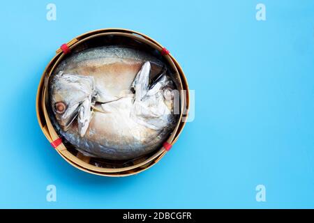 Maquereau court dans le panier de poisson sur fond bleu. Vue de dessus avec espace de copie Banque D'Images