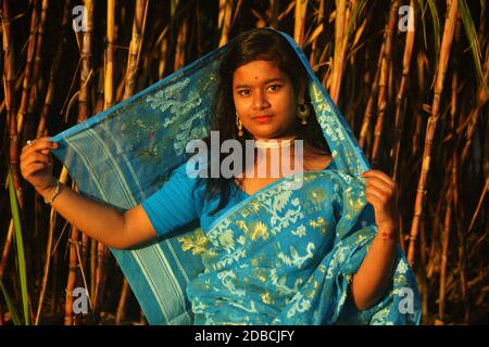 Indienne Bengali adolescente portant une saree bleue et un chemisier et tenant sari sur la tête avec des boucles d'oreilles de couleur dorée, collier debout un champ de canne à sucre Banque D'Images