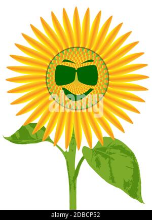 La tête d'une grande plante de tournesol isolée sur un fond blanc avec un visage souriant avec des lunettes de soleil Banque D'Images