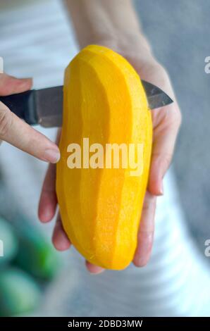 Mangue mûre. Femme utilisant un couteau pour peler des fruits mûrs, jaune, parfumé et doux. Banque D'Images