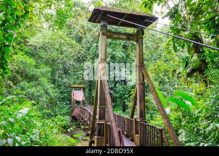 Pont suspendu dans la jungle de la Guadeloupe Banque D'Images