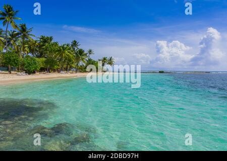 Célèbre plage de la Caravelle près de Sainte-Anne, Grande-Terre, Guadeloupe Banque D'Images