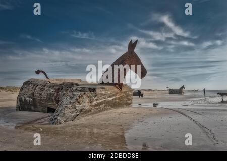 Bunker Mules chevaux sur Blaavand Beach, côte de la mer du Nord, Danemark Banque D'Images