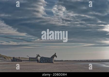 Bunker Mules chevaux sur Blaavand Beach, côte de la mer du Nord, Danemark Banque D'Images