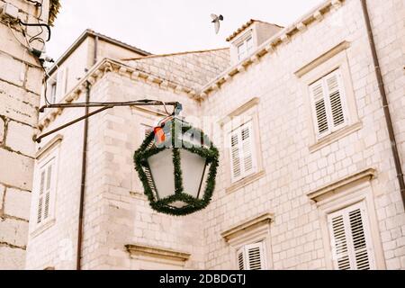 Lampe de rue décorée avec une guirlande de Noël sur fond d'une grande maison. Banque D'Images