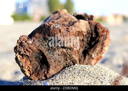 Old weathered wood bois racine sur le sable. Banque D'Images