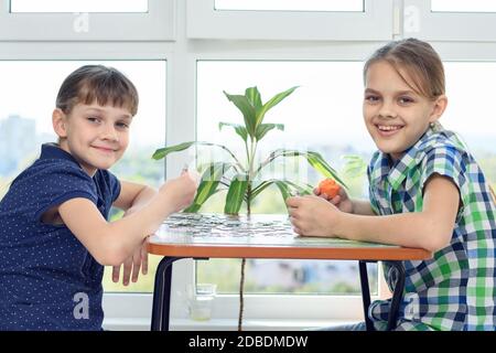 Les enfants assemblent un puzzle à la maison et regardent avec joie dans le cadre Banque D'Images