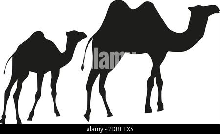 Camels noirs maman et bébé sur fond blanc. Illustration de Vecteur