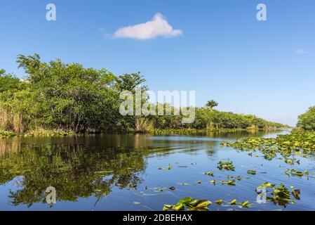 Zone humide de Floride, promenade en hydroglisseur au parc national des Everglades, aux États-Unis. Lieu populaire pour les touristes, la nature sauvage et les animaux. Banque D'Images