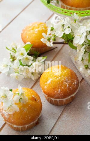 Muffins dorés aux fleurs chérieuses sur fond de sorbets Banque D'Images