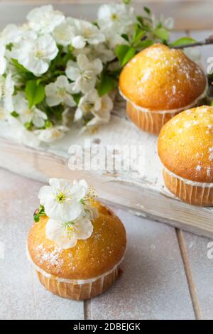 Mini-muffins décorés de fleurs de cherriy en gros plan. Image verticale Banque D'Images