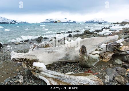 Paysage et paysage magnifiques en Antarctique. Congélation Banque D'Images