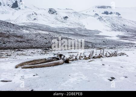 Paysage et paysage magnifiques en Antarctique. Congélation Banque D'Images