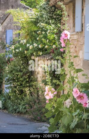 Malles dans la vieille ville d'Oppede-le-Vieux, Provence, France Banque D'Images