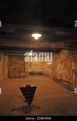 Intérieur des chambres à gaz du camp de concentration d'Auschwitz Banque D'Images