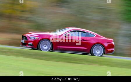 Prise de vue panoramique montrant le flou de mouvement et la vitesse d'UN rouge Ford Mustang 5.0 V8 GT muscle car roulant à travers UN Forest Royaume-Uni Banque D'Images