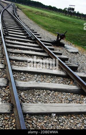 Pistes de train dans le camp de concentration d'Auschwitz, Pologne Banque D'Images