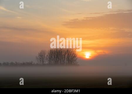 Lever de soleil sur le paysage brumeux de Hortobagy, sur l'arbre est assis silhouette d'aigle. Parc national de Hortobagy, Hongrie puszta, faune et flore d'Europe, UNESCO World Banque D'Images