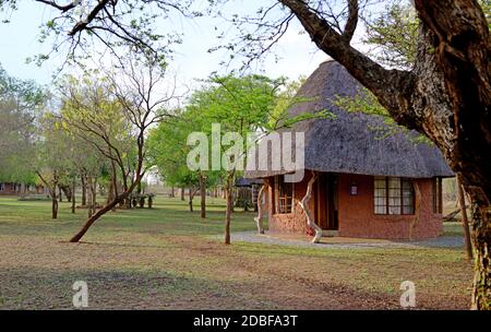 Camp de Ndlovu , Hlane Royal Nationalpark , Swaziland, Afrique du Sud Banque D'Images