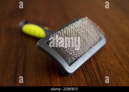 détail de la brosse pour chat utilisé pour le brossage et la fourrure de chats de desheddnig Banque D'Images