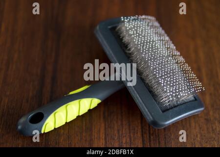 détail de la brosse pour chat utilisé pour le brossage et la fourrure de chats de desheddnig Banque D'Images