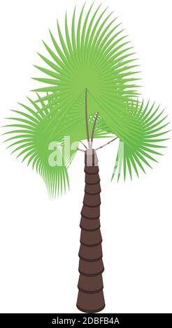 Icône de l'île Palm Tree. Isométrique de l'icône de vecteur d'îlot de palmier pour la conception de sites Web isolée sur fond blanc Illustration de Vecteur