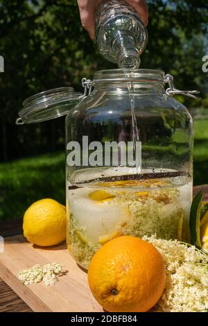 Versez la vodka dans le grand pot de conservation avec les fleurs de sureau fraîches, les oranges et les tranches de citron, le sucre et la gousse de vanille pour la liqueur de sureau Banque D'Images