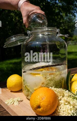 Versez la vodka dans le grand pot de conservation avec les fleurs de sureau fraîches, les oranges et les tranches de citron, le sucre et la gousse de vanille pour la liqueur de sureau Banque D'Images