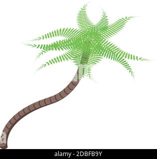 Plante icône de palmier. Isométrique de l'arbre de paume de la plante icône vectorielle pour la conception de Web isolée sur fond blanc Illustration de Vecteur