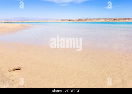 Parc national RAS Mohamed en Égypte. Afrique. Banque D'Images